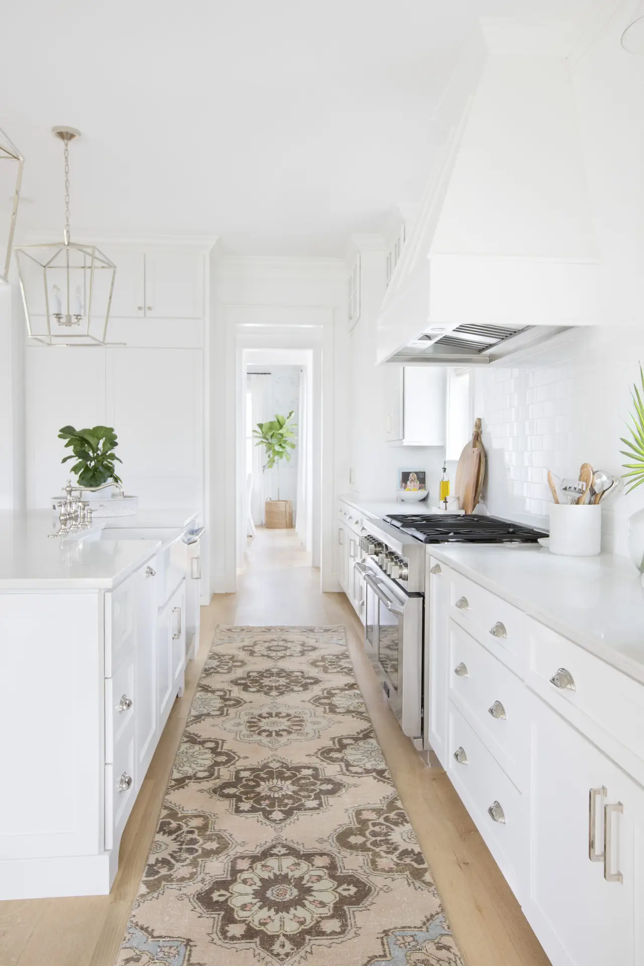 Gloria Venato Photographed by Margaret Wright