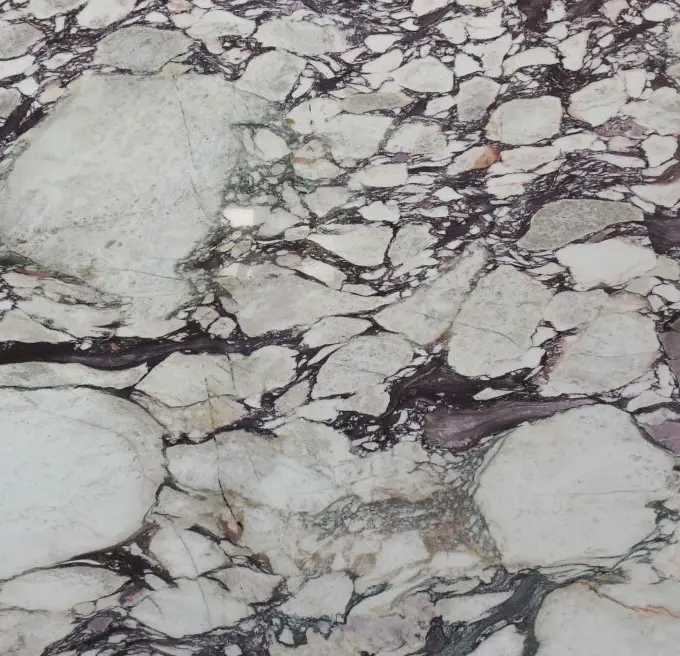 Calacatta Viola marble slab with dramatic dark purple veining on a white and gray background, natural stone texture